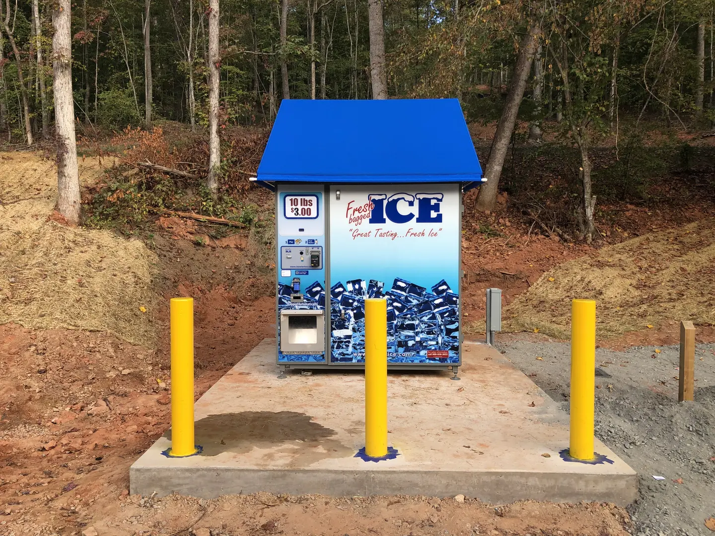Ice vending machine in forest setting